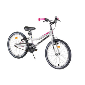 Gyermek kerékpár DHS Teranna 2004 20" - modell 2019