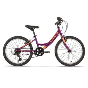 Gyermek kerékpár Galaxy Ida 20" - modell 2020
